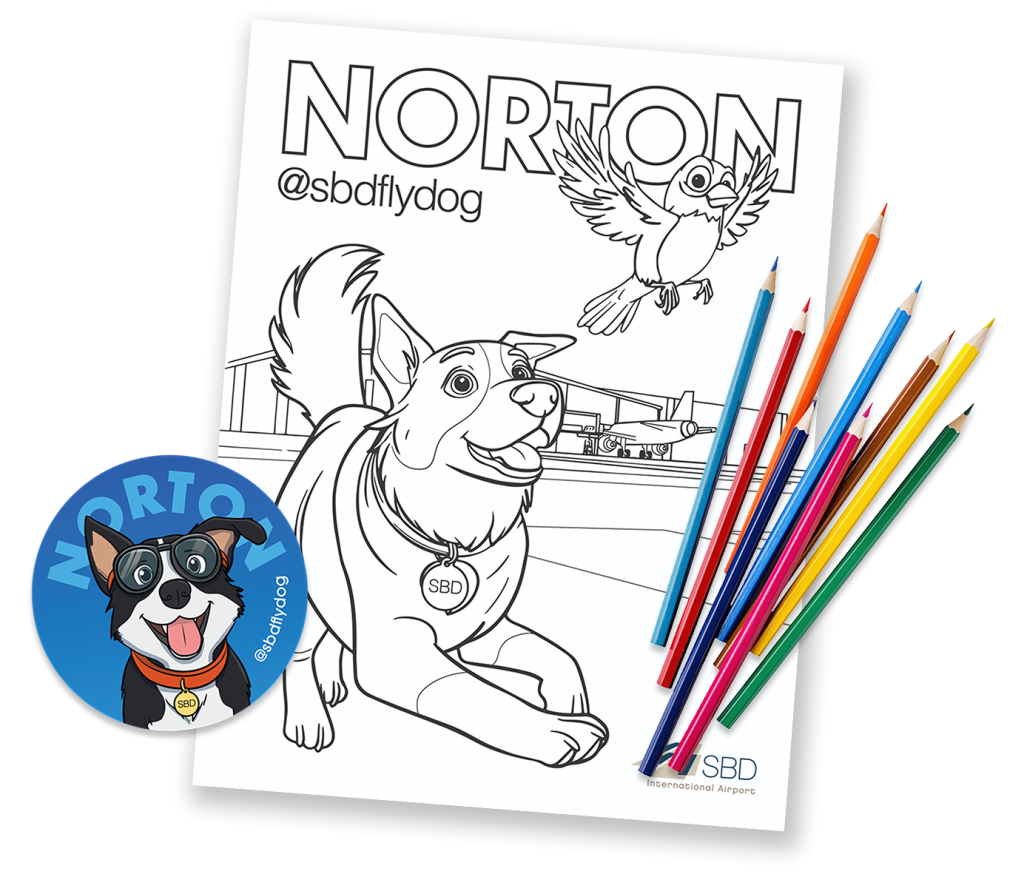 Graphic of Norton @sbdflydog coloring page with colored pencils