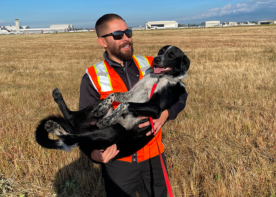 Airport operations employee standing in brown grass on the SBD airfield holding Norton, a black and white dog in his arms